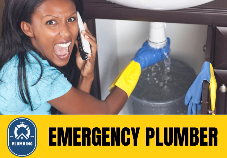 emergency plumber Meopham 
