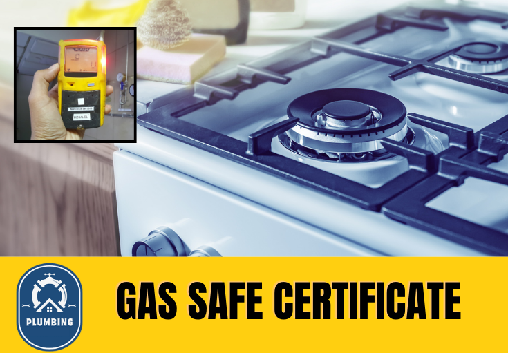 gas safe certificate Meopham 