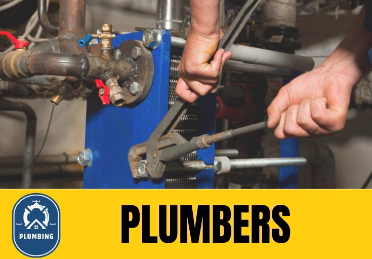  plumber Longfield